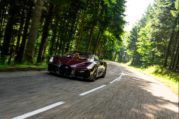 Quality Assessment of Bugatti W16 Mistral