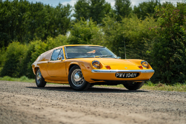 Hampson Auctions Gold Cup Sale Highlights