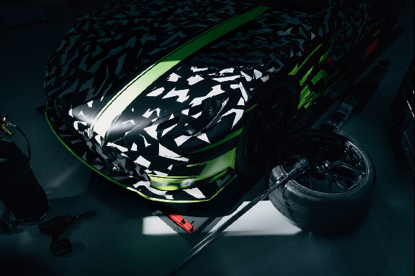 Mercedes-AMG Reveals Concept AMG GT Track Sport