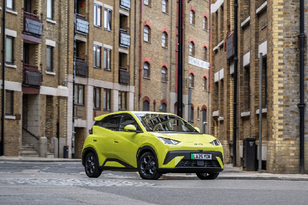 BYD UK Partners with Swansway for Festival