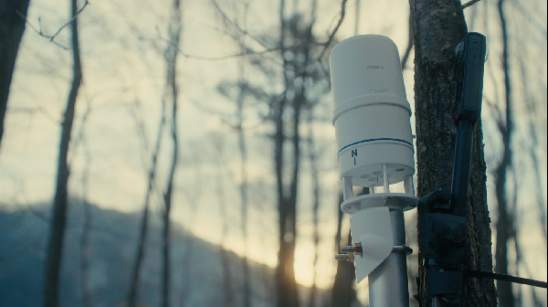 Hyundai Marks 10 Years of IONIQ Forest