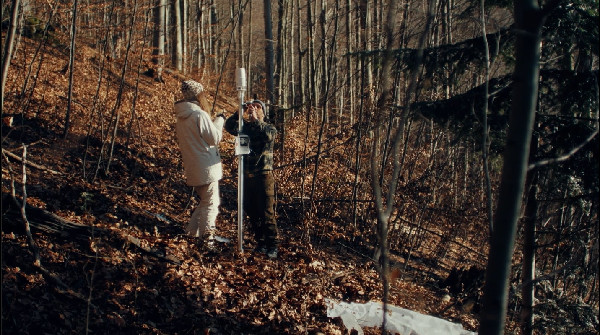 Hyundai Marks 10 Years of IONIQ Forest