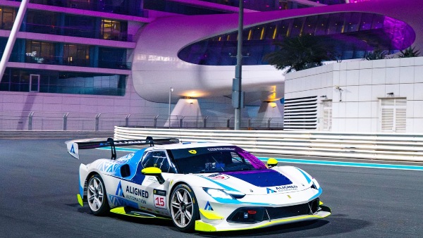 Diana Pundole Ferrari 296