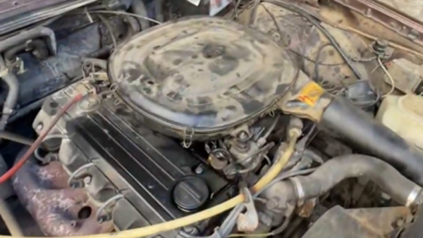 E20 petrol Mercedes W123