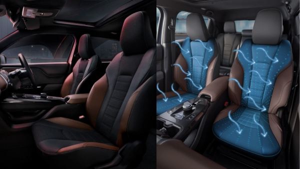 Toyota Urban Cruiser Ebella Vs eVitara