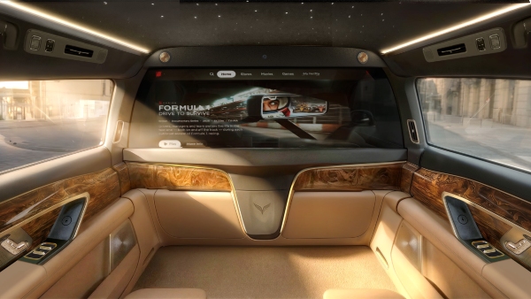 Vinfast Lac Hong 900s interior partition