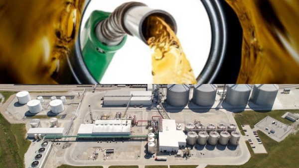 Top 5 Countries Using High-Ethanol Fuels Top 5 Countries Using High-Ethanol Fuels