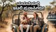 ಸಫಾರಿ ಮಧ್ಯೆ ಮದುವೆ ಮೆರವಣಿಗೆ: ಇಟಲಿ ಪ್ರವಾಸಿಗರನ್ನು ನೋಡಿ ಮದುಮಗ ಮಾಡಿದ್ದೇನು?