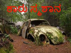 ಅಚ್ಚರಿ! ಬೆಲ್ಜಿಯಂ ದಟ್ಟಾರಣ್ಯದಲ್ಲಿ 70 ವರ್ಷಕ್ಕೂ ಹಳೆಯ ಕಾರು ಸ್ಮಶಾನ  