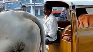 ಎತ್ತಿನ ಗಾಡಿಯಾಗಿ ಬದಲಾದ ಅಂಬಾಸಿಡರ್ ಕಾರು