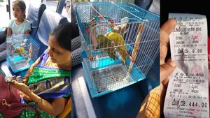 ಅಜ್ಜಿ-ಮೊಮ್ಮಗಳಿಗಷ್ಟೇ ಉಚಿತ ಪ್ರಯಾಣ, ಪಕ್ಷಿಗಳಿಗಲ್ಲ: KSRTC ಬಸ್​ನಲ್ಲಿ ಬರ್ಡ್ಸ್‌ಗಳಿಗೆ ಟಿಕೆಟ್‌ ಎಷ್ಟು?