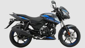 Bajaj Pulsar: ನೂತನ ಬಜಾಜ್ ಪಲ್ಸರ್ ಬೈಕ್ ಕುರಿತ ಪ್ರಮುಖಾಂಶಗಳು.. ಬೆಲೆಯೂ ಕಮ್ಮಿ, 50 Km ಮೈಲೇಜ್?