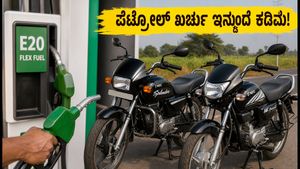 ಪೆಟ್ರೋಲ್ ಬೆಲೆ ಏರಿಕೆಗೆ ಬ್ರೇಕ್: ಹೀರೋನ ಹೊಸ ಫ್ಲೆಕ್ಸ್-ಫ್ಯುಯೆಲ್ ಬೈಕ್‌ಗಳು ಮಾರುಕಟ್ಟೆಗೆ, ಇಂಧನ ವೆಚ್ಚದಲ್ಲಿ ಭಾರಿ ಉಳಿತಾಯ!