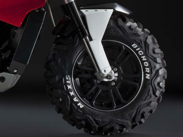 ಟಾರ್ಟರಿನಿ ಬ್ರೂಟಸ್ 