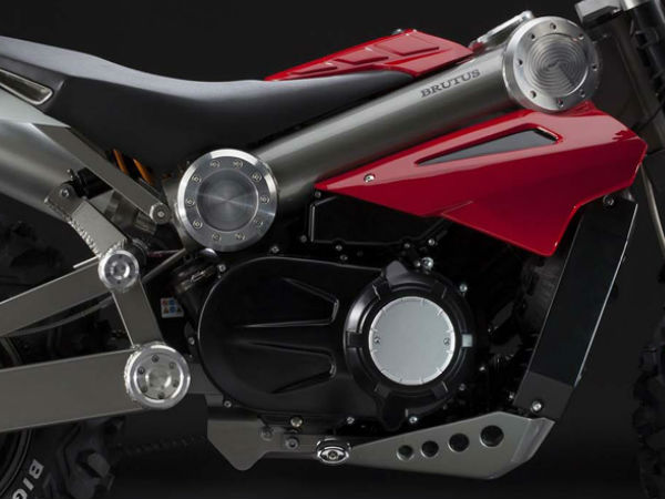 ಟಾರ್ಟರಿನಿ ಬ್ರೂಟಸ್ 