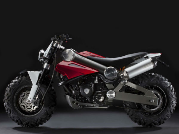 ಟಾರ್ಟರಿನಿ ಬ್ರೂಟಸ್ 