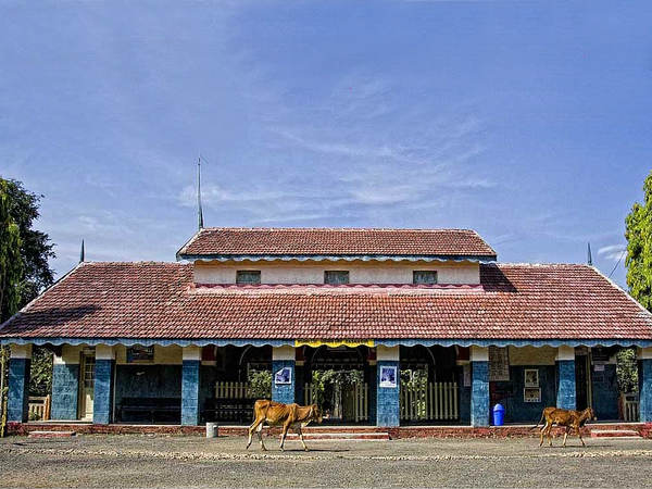 ಗಿರ್ ಸಫಾರಿ