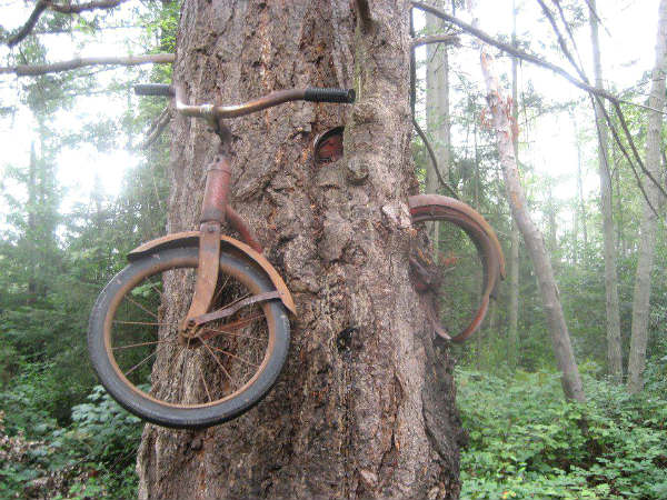 ಬಿಡುವಿಲ್ಲದ ಕೆಲಸವೇ? ಸ್ವಲ್ಪ ರಿಲಾಕ್ಸ್ ತಗೊಳ್ಳಿ
