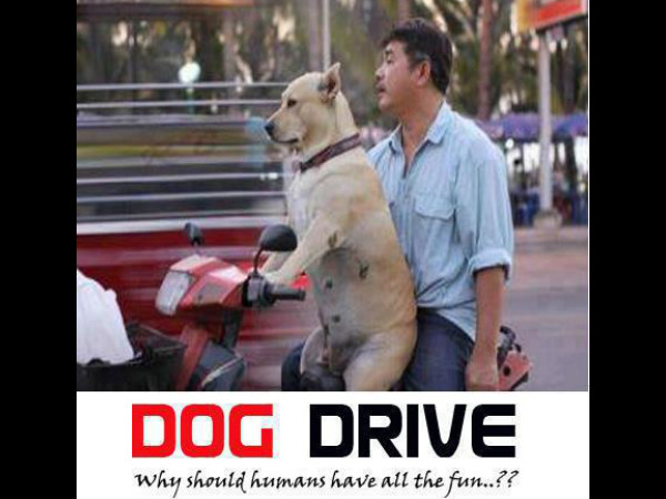 ಬಿಡುವಿಲ್ಲದ ಕೆಲಸವೇ? ಸ್ವಲ್ಪ ರಿಲಾಕ್ಸ್ ತಗೊಳ್ಳಿ