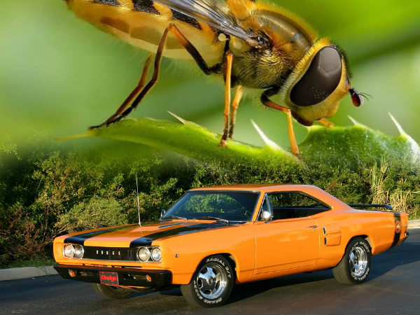 1968 Dodge Super Bee