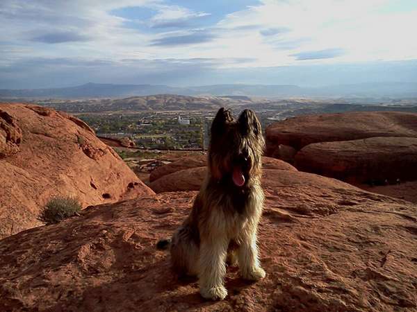 ನಾರ್ಮನ್ ಬಗ್ಗೆ ಒಂದಿಷ್ಟು