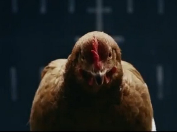 ಐಷಾರಾಮಿ ಬೆಂಝ್ ಗಾಡಿ ಒಂದು ಕೋಳಿಗೆ ಸಮವಂತೆ?