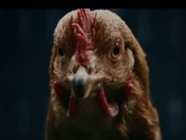 ಐಷಾರಾಮಿ ಬೆಂಝ್ ಗಾಡಿ ಒಂದು ಕೋಳಿಗೆ ಸಮವಂತೆ?