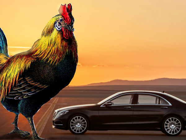 ಸಸ್ಫೆಷನ್ 