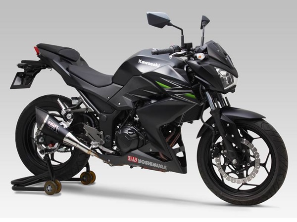 ಟೊಕಿಯೊ ಮೋಟಾರ್ ಶೋದಲ್ಲಿ ಕವಾಸಕಿ ಝಡ್250 ಅನಾವರಣ