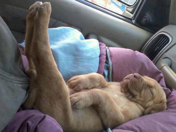 ಆಟೋ ಜಗತ್ತಿನ ಸ್ವಾರಸ್ಯಕರ ಚಿತ್ರಗಳು