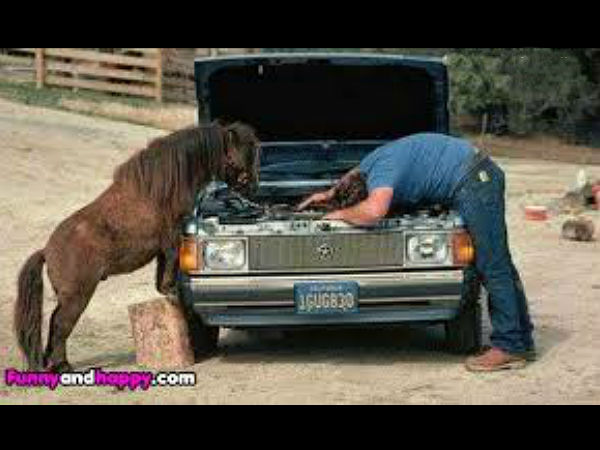 ವಾಹನ ಜಗತ್ತಿನ ಸ್ವಾರಸ್ಯಕರ ಚಿತ್ರಗಳು