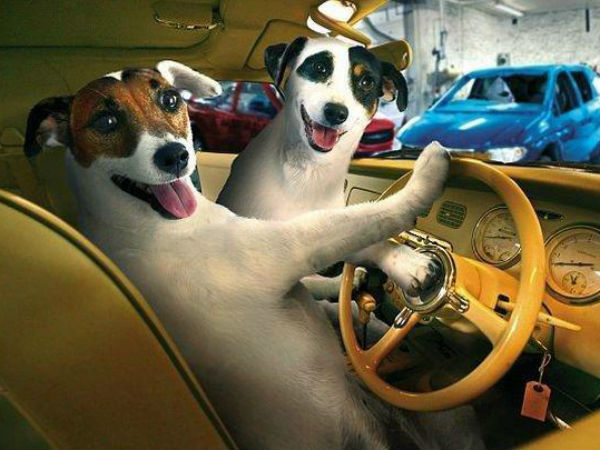 ವಾಹನ ಜಗತ್ತಿನ ಸ್ವಾರಸ್ಯಕರ ಚಿತ್ರಗಳು