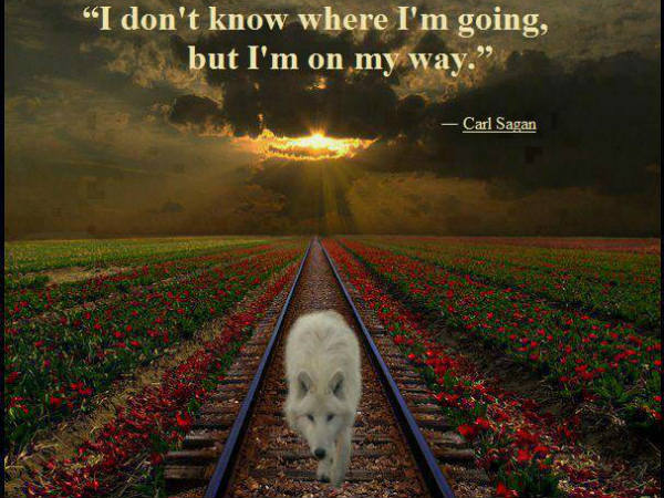 ನಿಮಗೆ ಸ್ಫೂರ್ತಿ ತುಂಬಬಲ್ಲ ಆಟೋಮೊಬೈಲ್ ಉಲ್ಲೇಖ