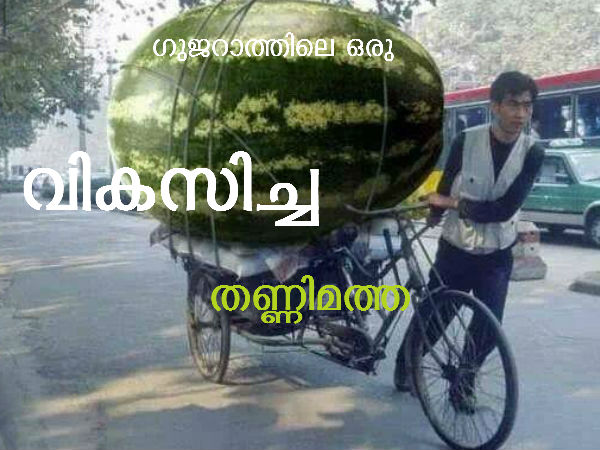 ಗುಜರಾತ್‌ನಲ್ಲಿ ನಿಜಕ್ಕೂ ಅಭಿವೃದ್ಧಿಯಾಗಿದೆಯೇ?