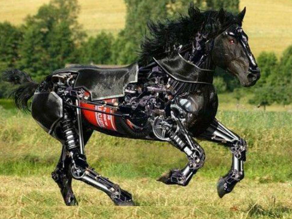 ಗುಜರಾತ್‌ನಲ್ಲಿ ನಿಜಕ್ಕೂ ಅಭಿವೃದ್ಧಿಯಾಗಿದೆಯೇ?