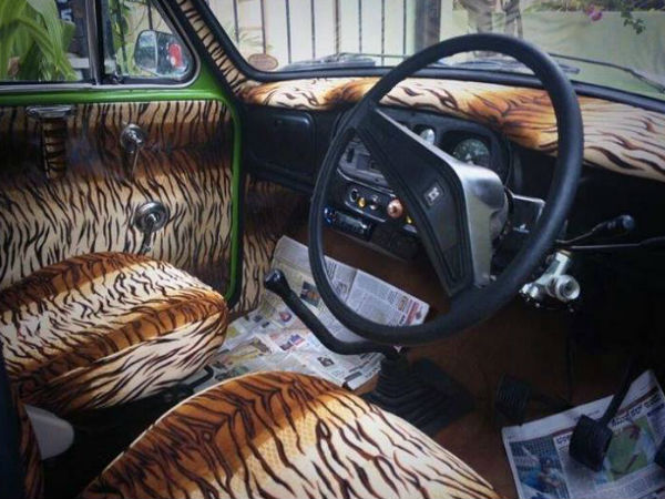 ಝೂಮ್ ಪಿಂಪ್ ಅಂಬಾಸಿಡರ್ 