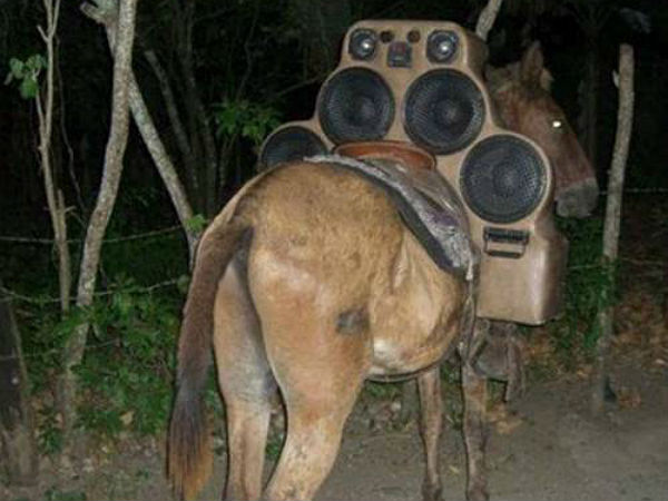 ಆರಕ್ಕೇರಲಿಲ್ಲ, ಮೂರಕ್ಕೀಳಿಯಲಿಲ್ಲ; ಟೈಮ್ ಪಾಸು ಚಿತ್ರಗಳು 