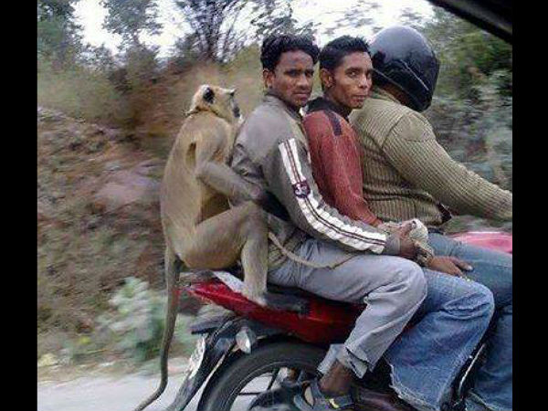 ಆರಕ್ಕೇರಲಿಲ್ಲ, ಮೂರಕ್ಕೀಳಿಯಲಿಲ್ಲ; ಟೈಮ್ ಪಾಸು ಚಿತ್ರಗಳು