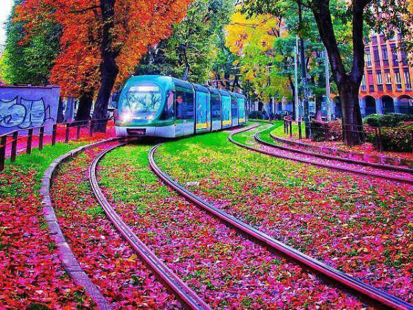 ವಾಹನಗಳಿಗೆ 'ಗಜಕೇಸರಿ' ಯೋಗ ಇರುತ್ತಂತೆ!