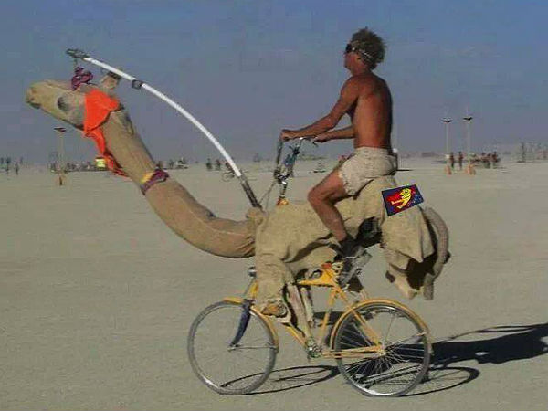 ವಾಹನಗಳಿಗೆ 'ಗಜಕೇಸರಿ' ಯೋಗ ಇರುತ್ತಂತೆ!