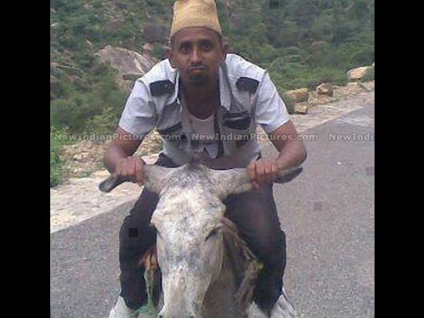 ಆಸಕ್ತಿದಾಯಕ ಅಂದ ಚೆಂದದ ಗಾಡಿಗಳು