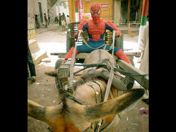 ವಿದೇಶಿಯರಿಗೆ ಭಾರತೀಯ ರಸ್ತೆಗಳು ಯಾಕಿಷ್ಟ?