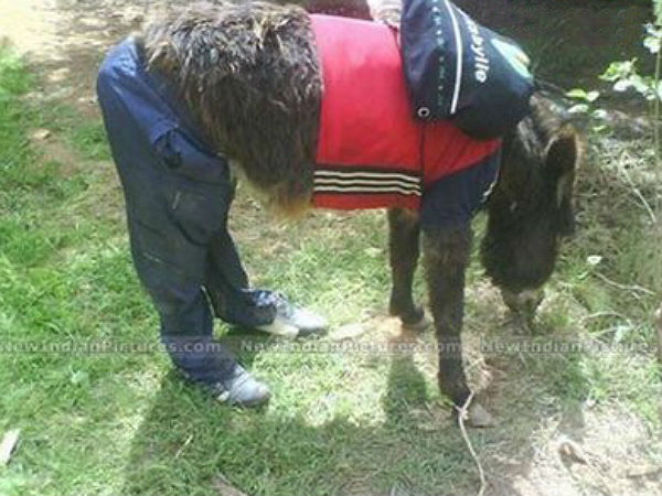 ವಿದೇಶಿಯರಿಗೆ ಭಾರತೀಯ ರಸ್ತೆಗಳು ಯಾಕಿಷ್ಟ?