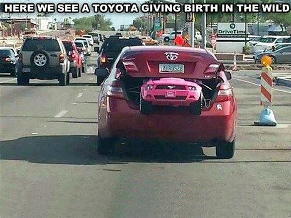 ಗಾಂಚಲಿ ಬಿಡಿಸೋಕೆ ಕಾರು ಮೆಮೆಗಳು