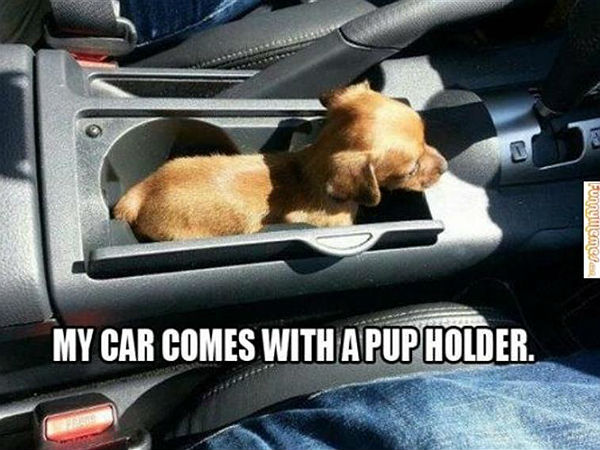 ಗಾಂಚಲಿ ಬಿಡಿಸೋಕೆ ಕಾರು ಮೆಮೆಗಳು