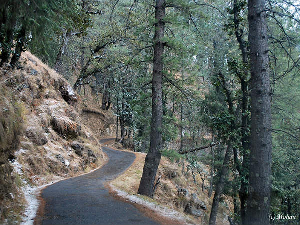 4. ಜಾಲೋರಿ ಪಾಸ್ 