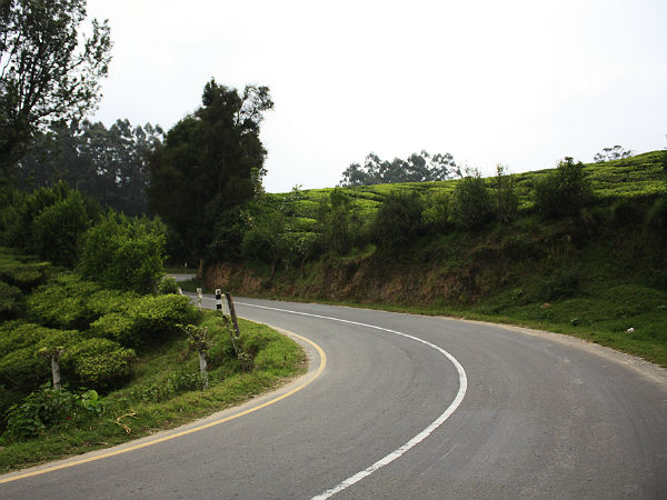 12. ಮುನ್ನಾರ್ ರಸ್ತೆ