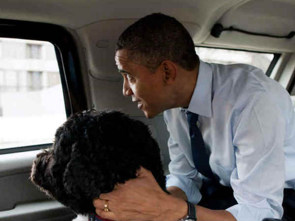 ಒಬಾಮಾ ಬೀಸ್ಟ್ - 7. ಗಾಜು