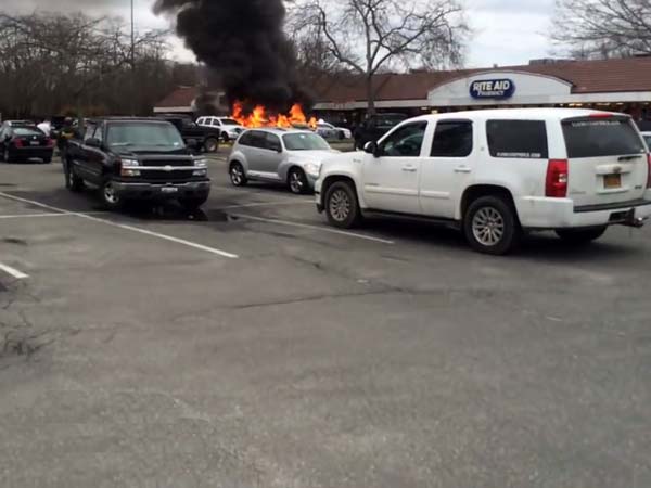 ನಿಮ್ಮ ಕಾರಲ್ಲೂ ತಿಗಣೆ ಕಾಟವಿದೆಯೇ? ಇಲ್ಲಿದೆ ಪರಿಹಾರ