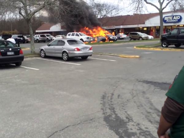 ನಿಮ್ಮ ಕಾರಲ್ಲೂ ತಿಗಣೆ ಕಾಟವಿದೆಯೇ? ಇಲ್ಲಿದೆ ಪರಿಹಾರ